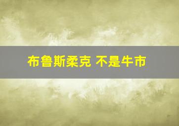 布鲁斯柔克 不是牛市